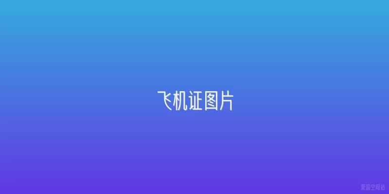 飞机证图片