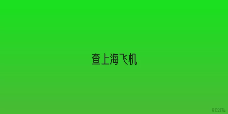 查上海飞机