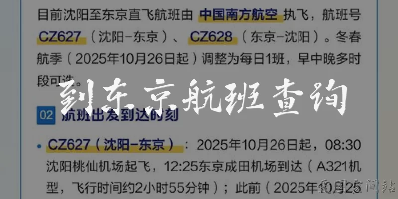 到东京航班查询