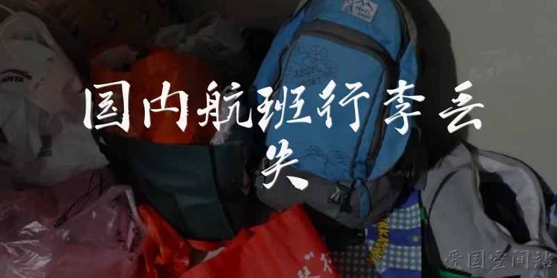 国内航班行李丢失