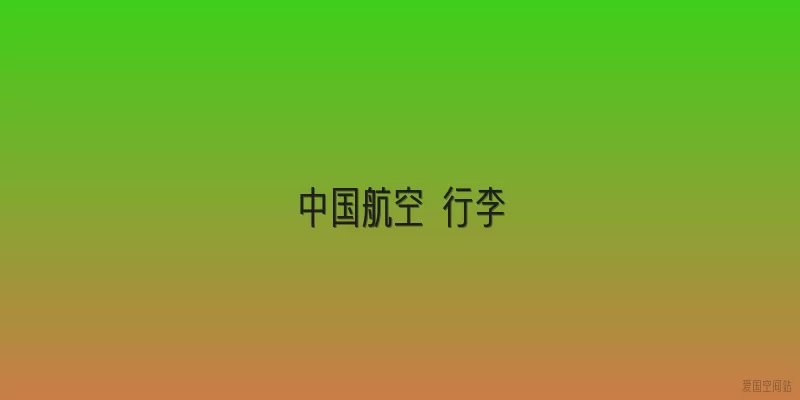 中国航空 行李