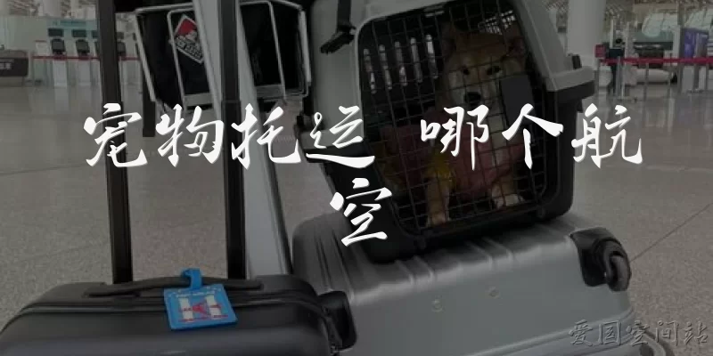 Which airline for pet shipping