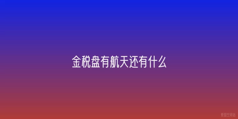 金税盘有航天还有什么