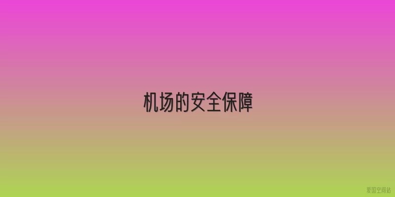 机场的安全保障