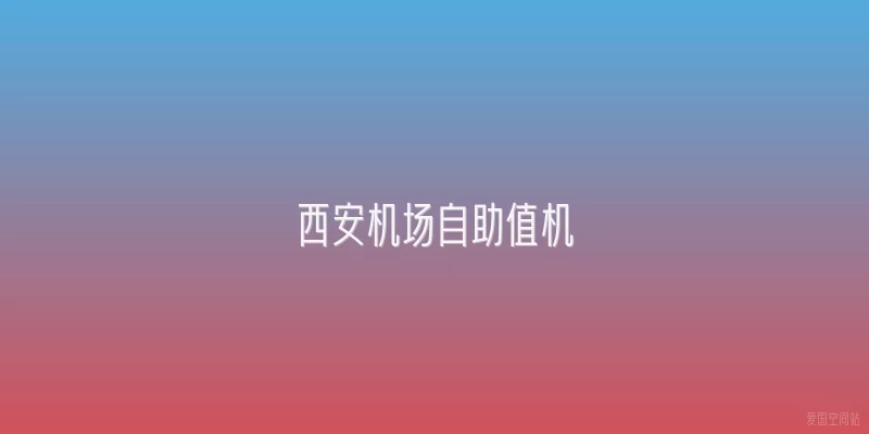 西安机场自助值机