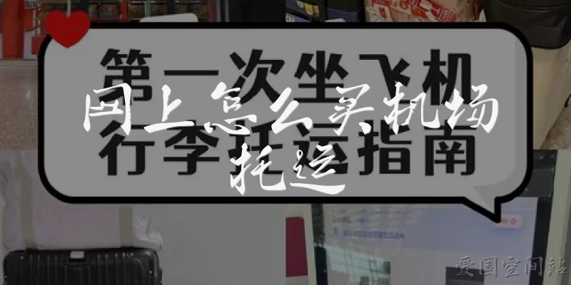 网上怎么买机场托运