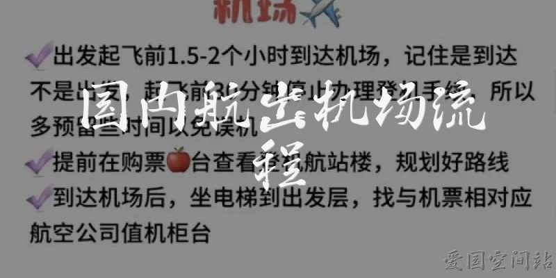 国内航出机场流程