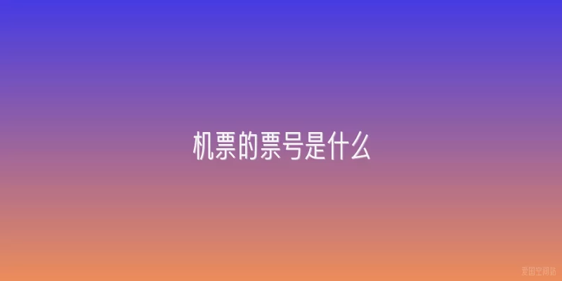 机票的票号是什么