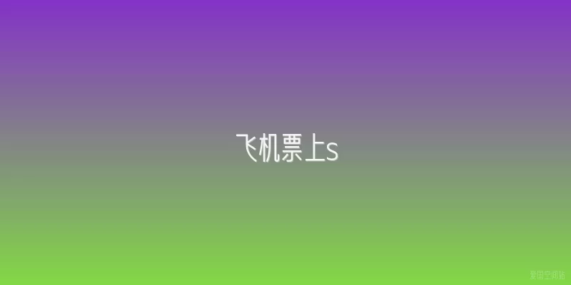 飞机票上s