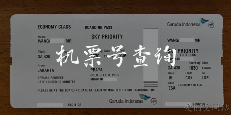 Flight Ticket Number Inquiry