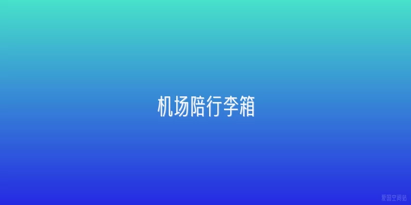 机场陪行李箱