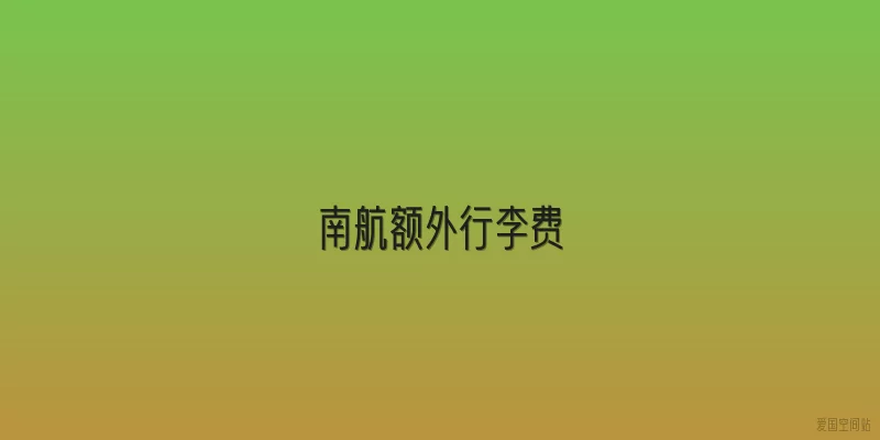 南航额外行李费