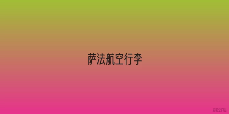 萨法航空行李