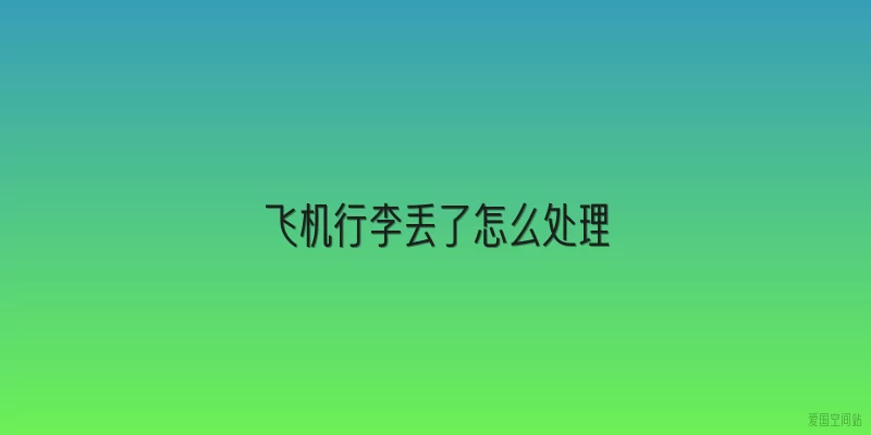 飞机行李丢了怎么处理