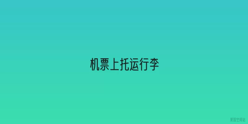 机票上托运行李