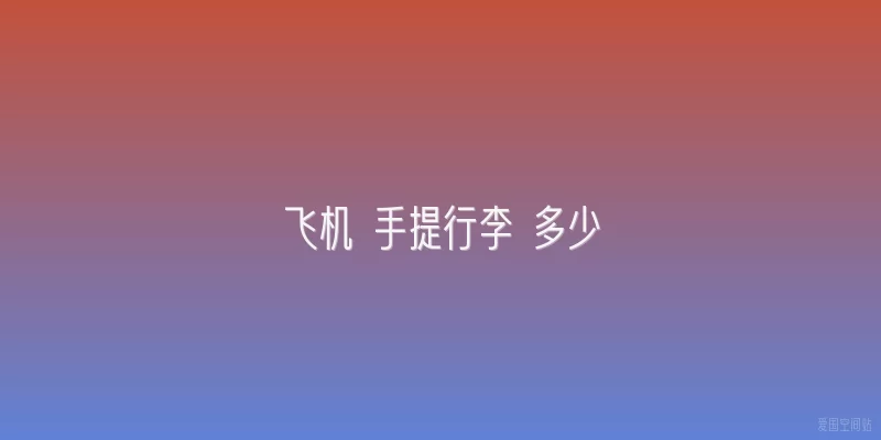 飞机 手提行李 多少