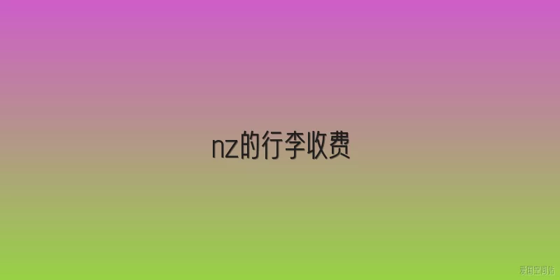 nz的行李收费