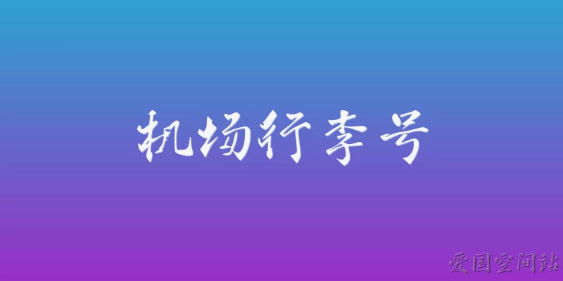 机场行李号