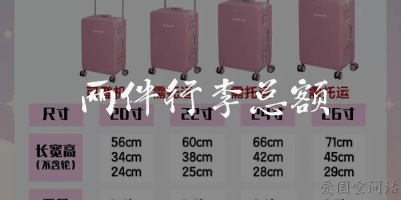 两件行李总额