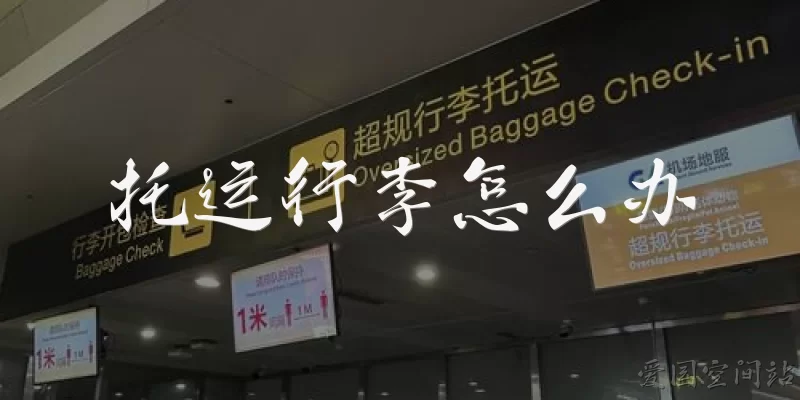 How to check in luggage