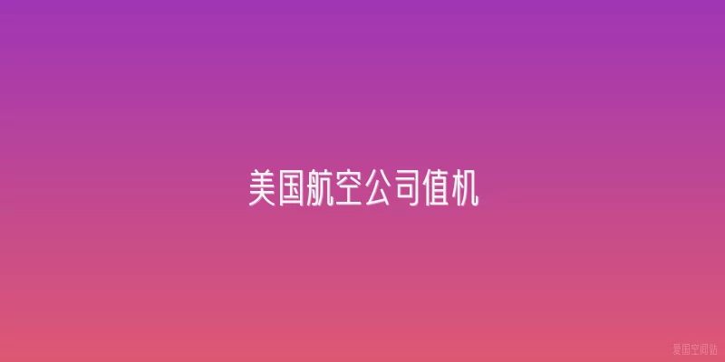 美国航空公司值机