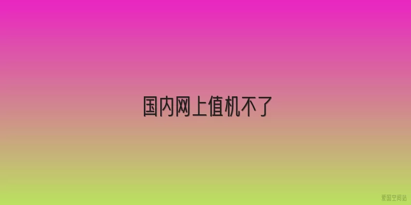 国内网上值机不了