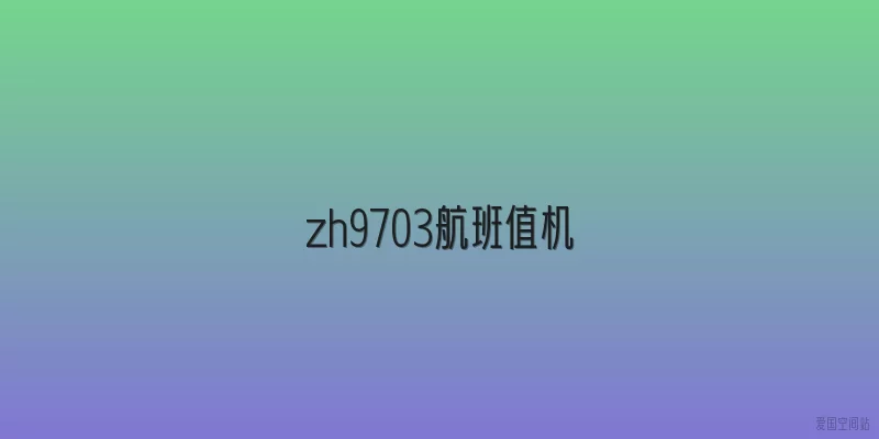zh9703航班值机