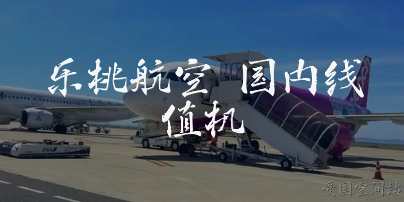 乐桃航空 国内线值机